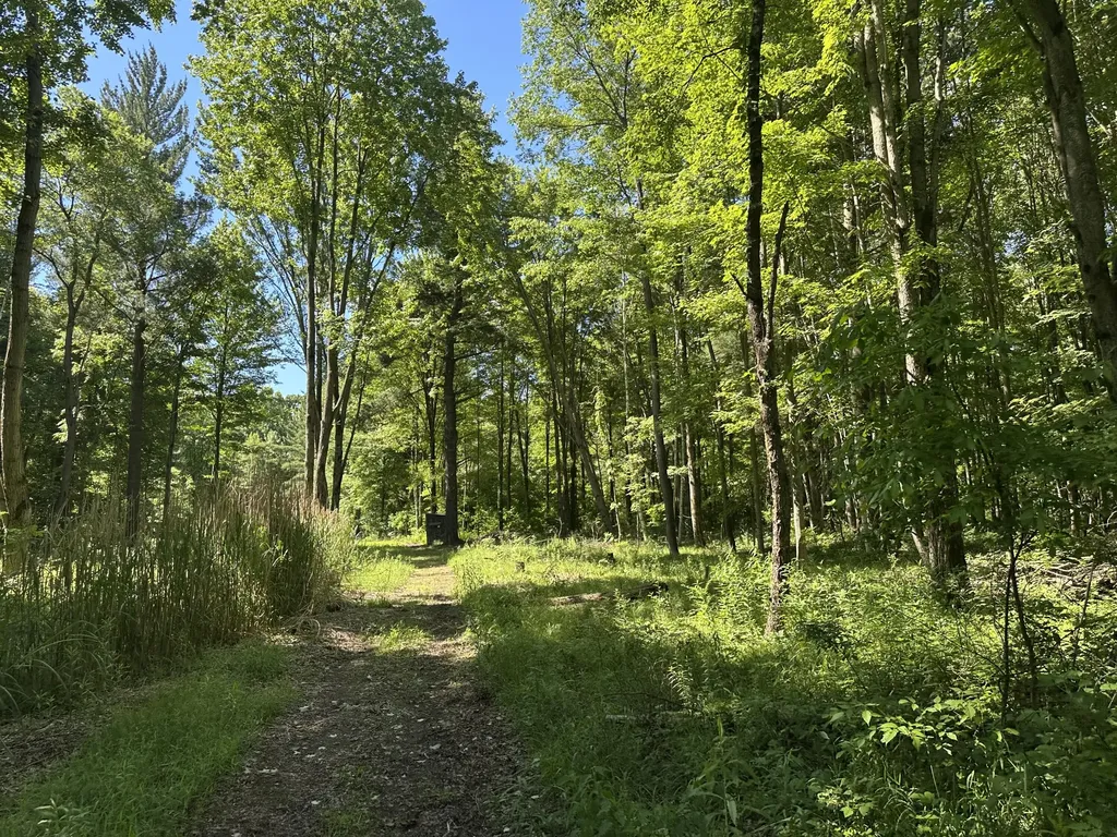 4485 S Miles Road Sidney Township MI 48884
