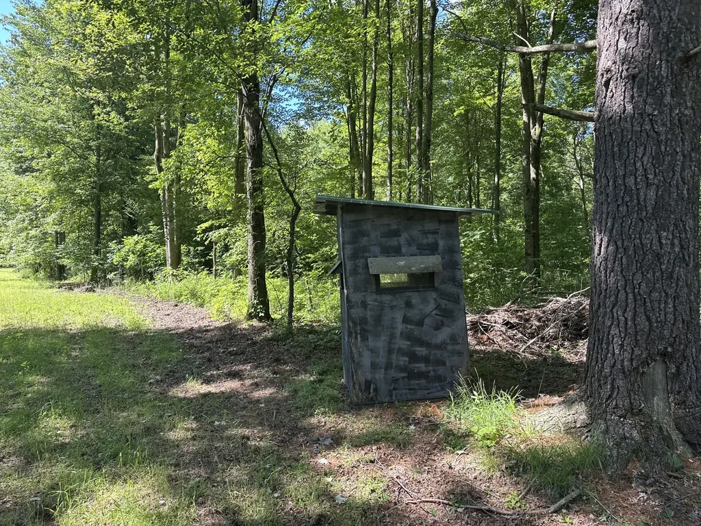 4485 S Miles Road Sidney Township MI 48884