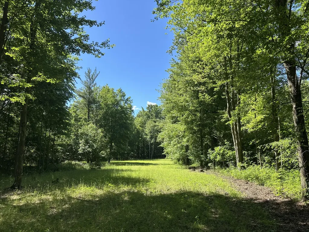 4485 S Miles Road Sidney Township MI 48884