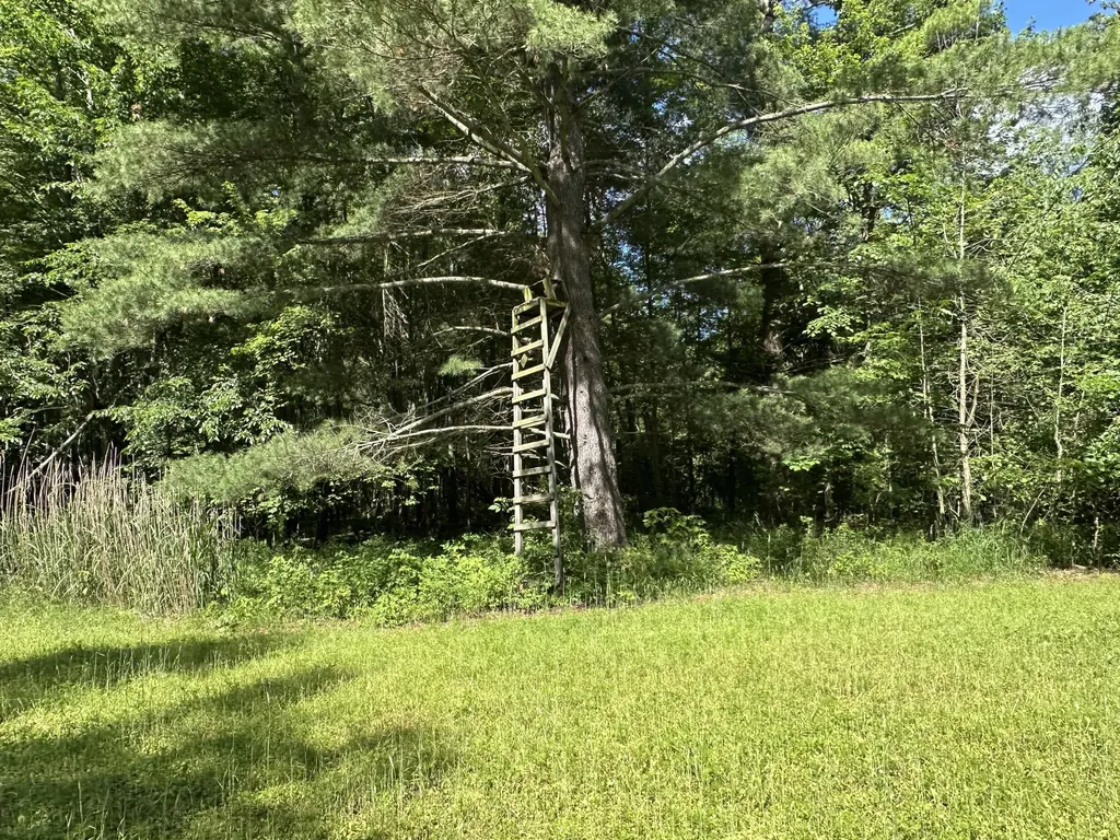 4485 S Miles Road Sidney Township MI 48884