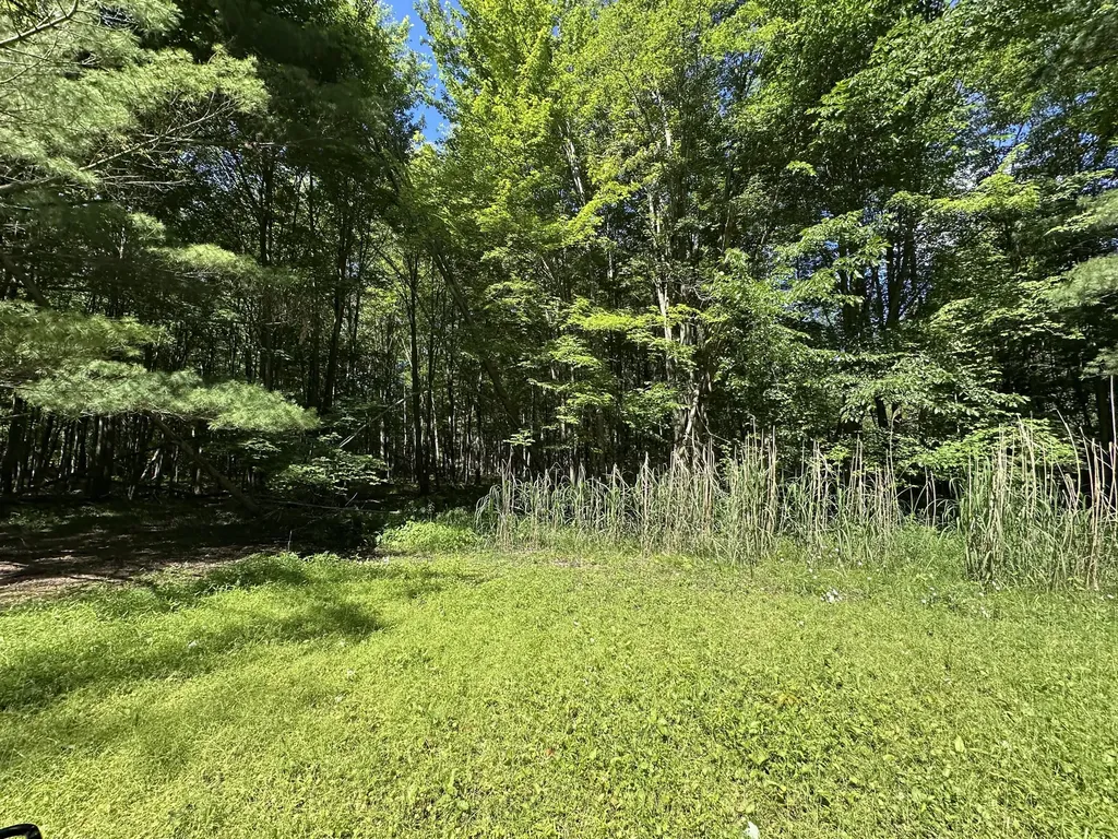4485 S Miles Road Sidney Township MI 48884