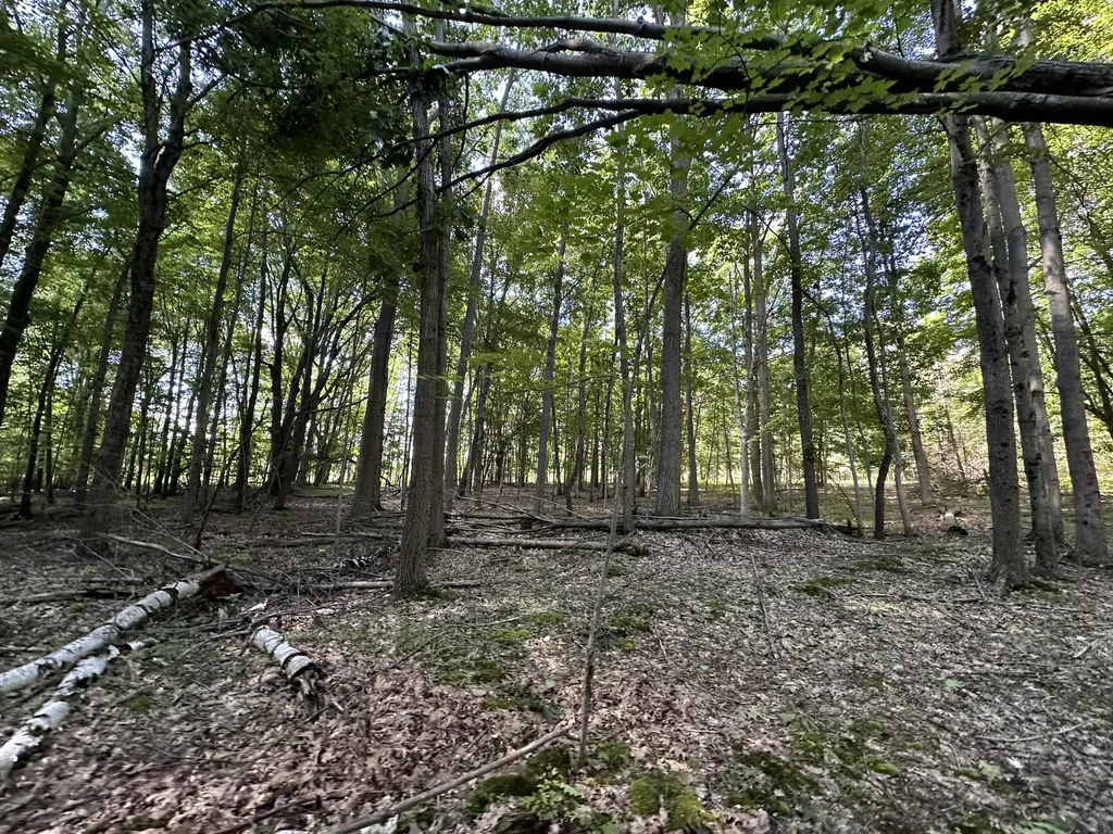 4485 S Miles Road Sidney Township MI 48884
