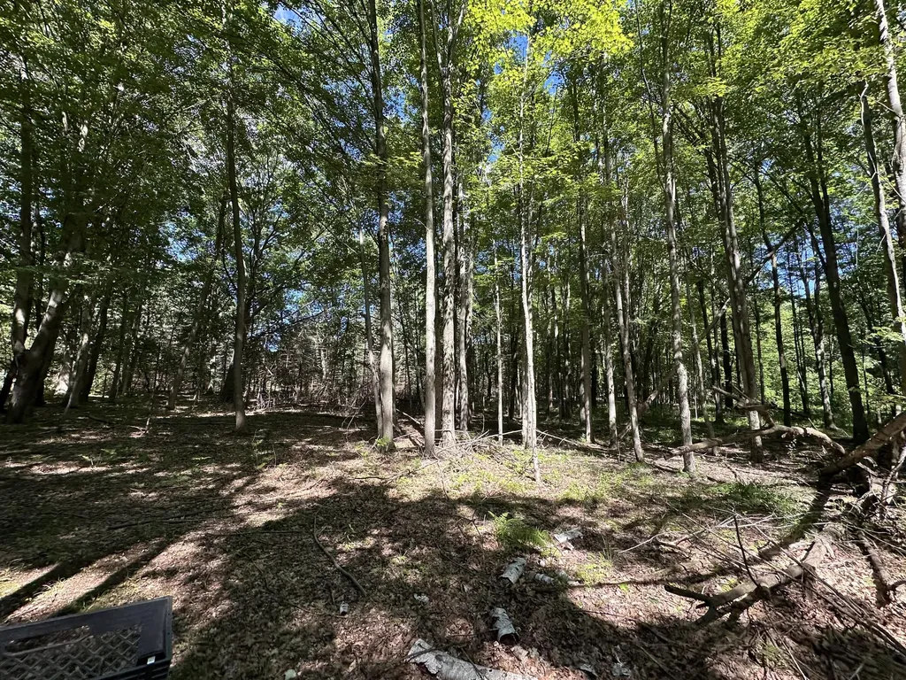 4485 S Miles Road Sidney Township MI 48884