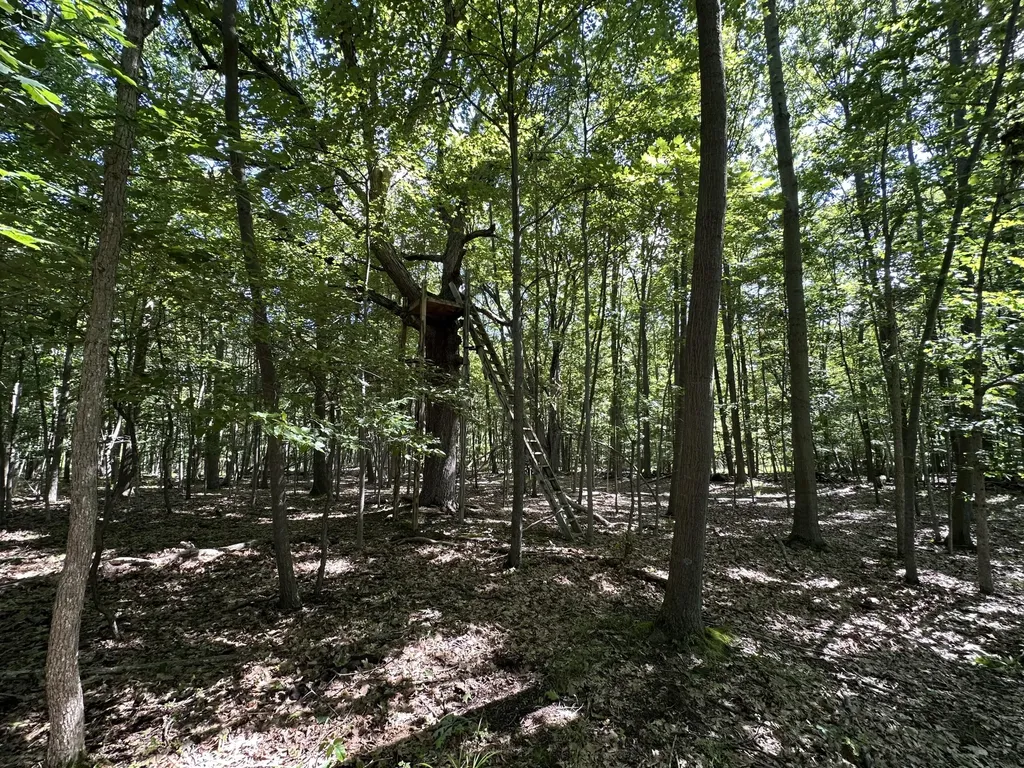 4485 S Miles Road Sidney Township MI 48884