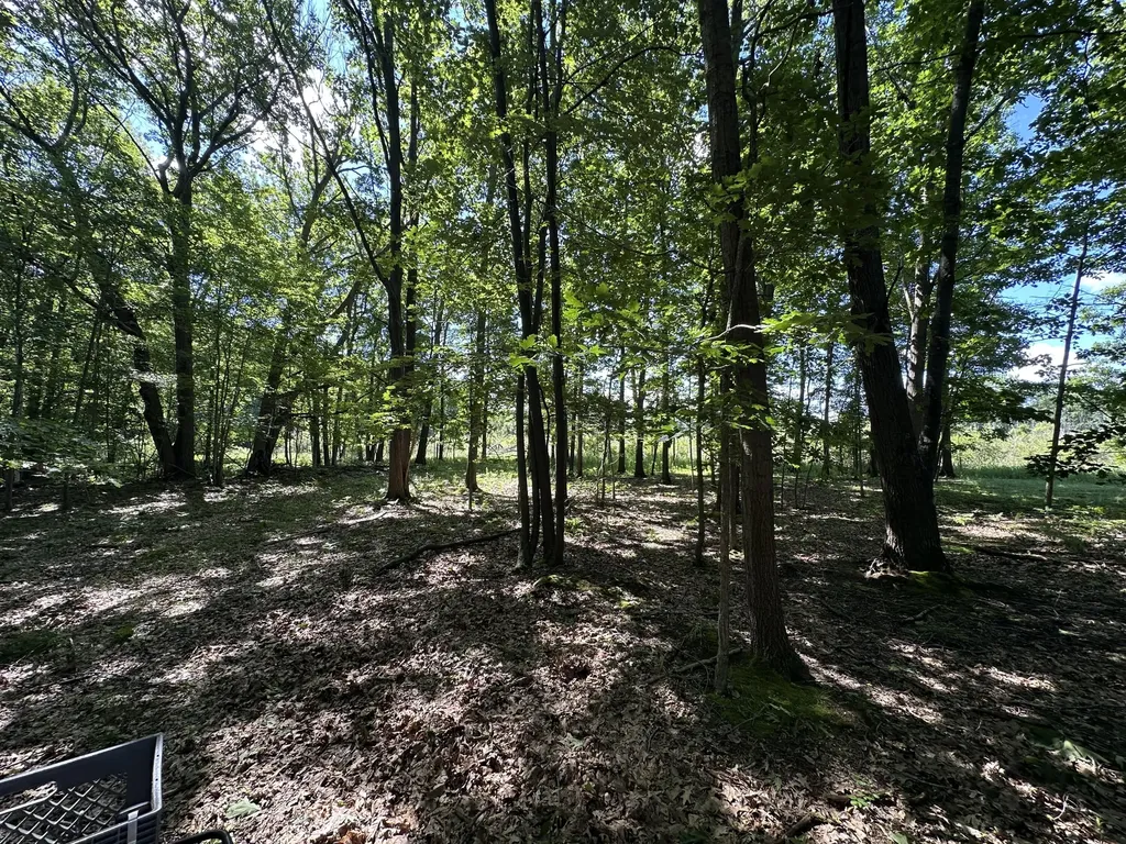4485 S Miles Road Sidney Township MI 48884