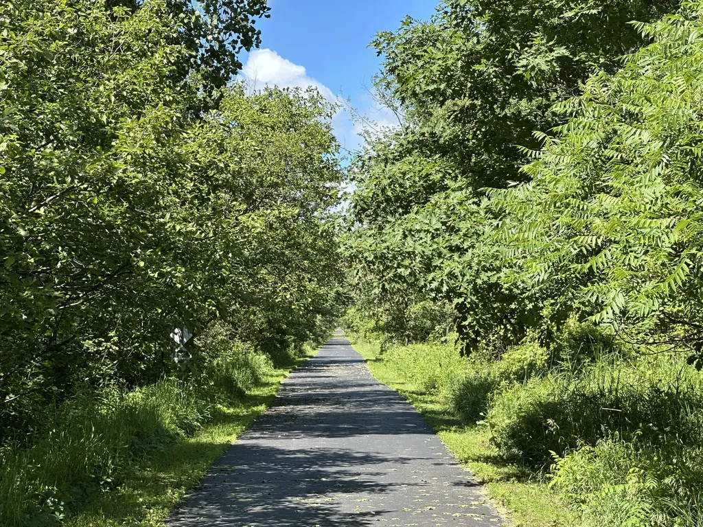 4485 S Miles Road Sidney Township MI 48884