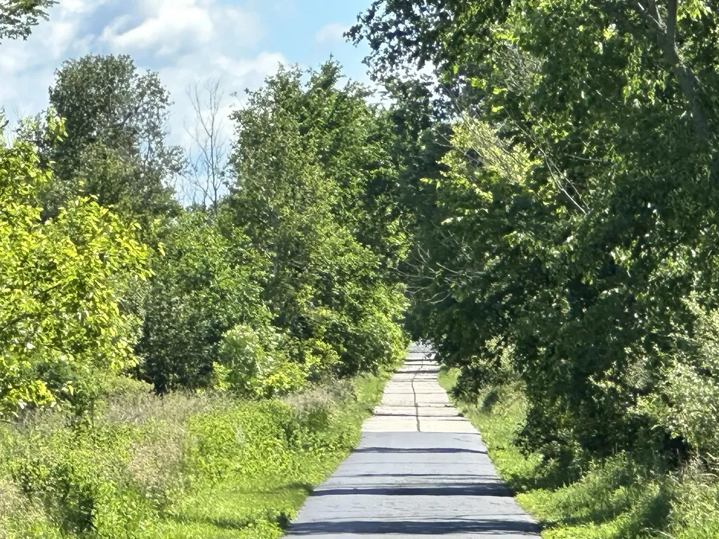 4485 S Miles Road Sidney Township MI 48884