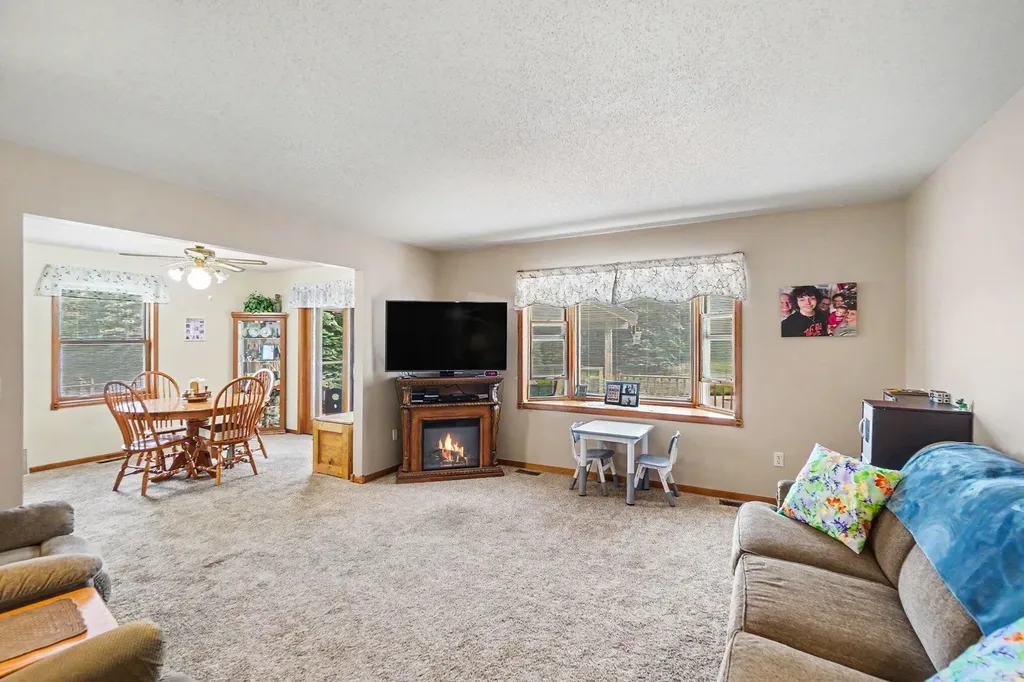 4485 S Miles Road Sidney Township MI 48884