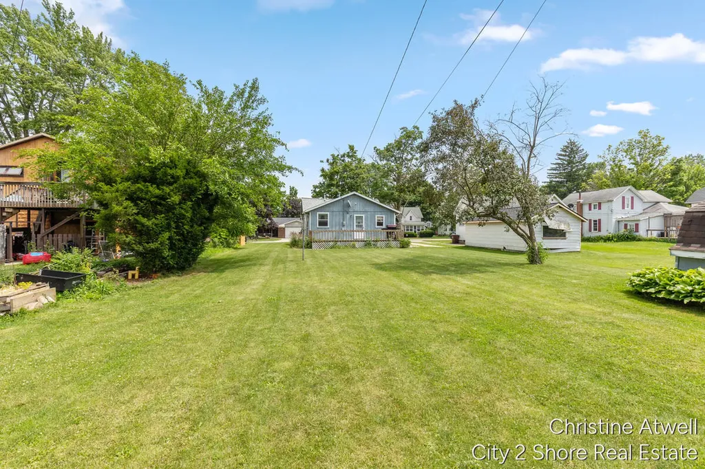 1321 Pearl Street Lake Odessa Village MI 48849