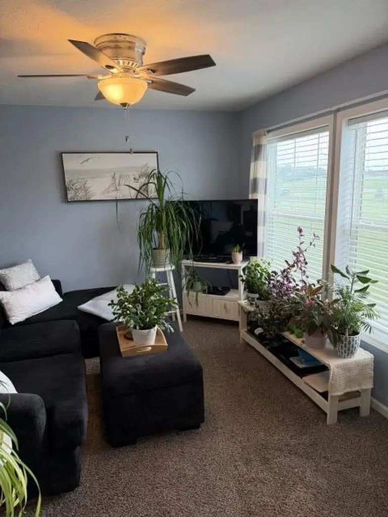 3688 Hollyfield Drive Solon Township MI 49319