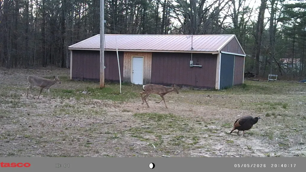 3920 Simonelli Road Fruitland Township MI 49461