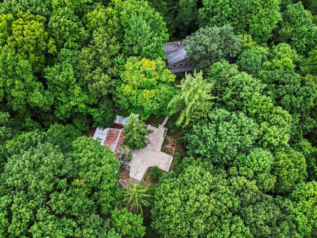 11355 108th Street SE Bowne Township MI 49302