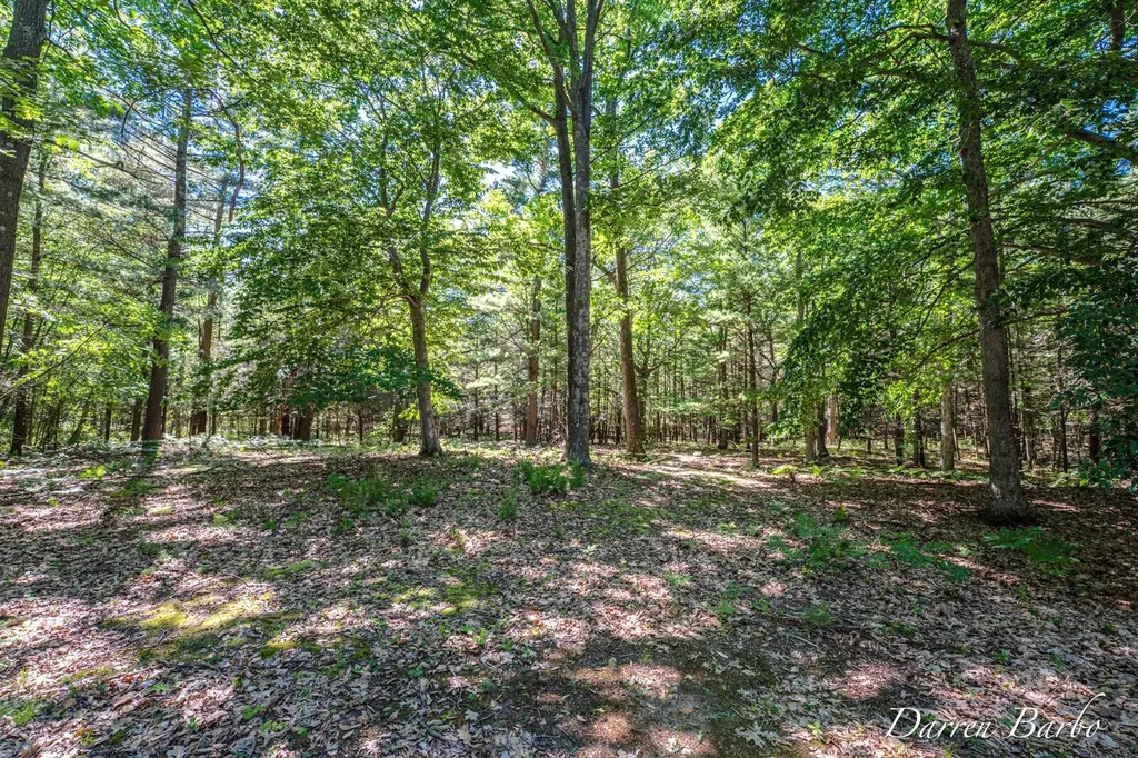4561 N Pine Avenue Golden Township MI 49436