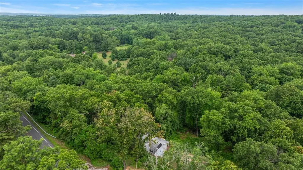 8945 Vergennes Street SE Ada Township MI 49301