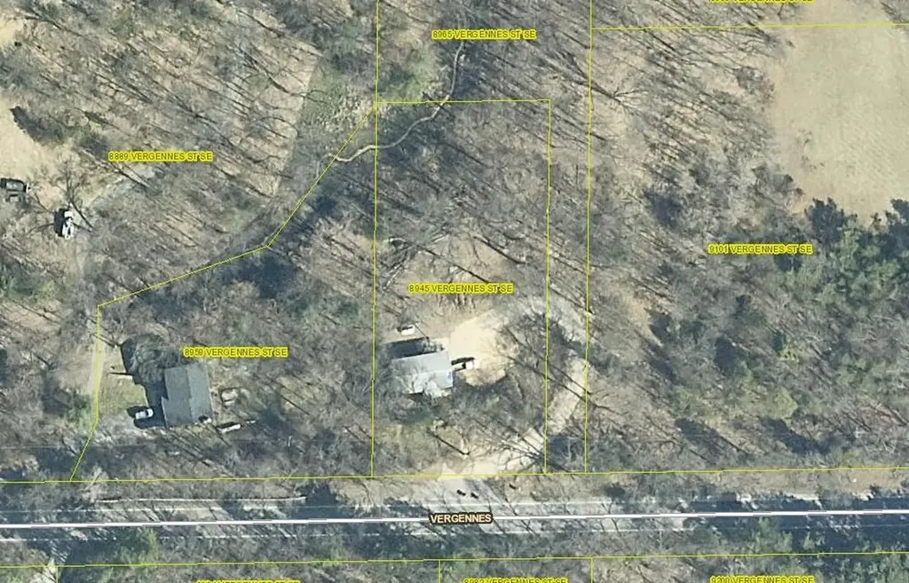 8945 Vergennes Street SE Ada Township MI 49301