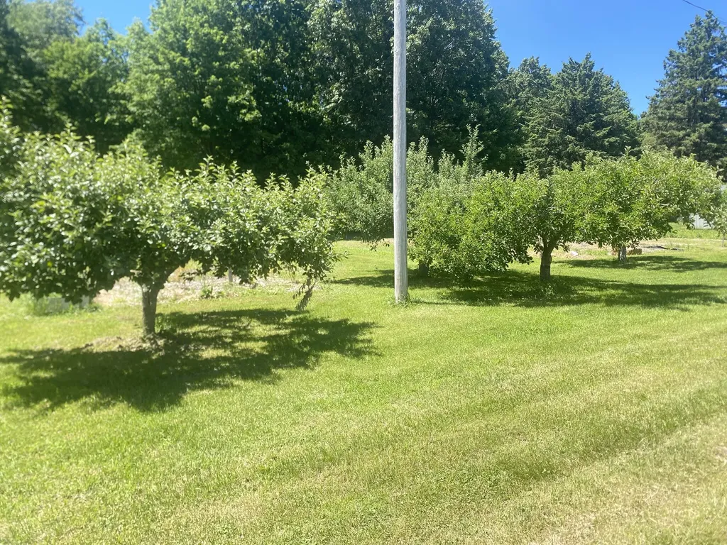 12915 Cassidy Road Assyria Township MI 49021