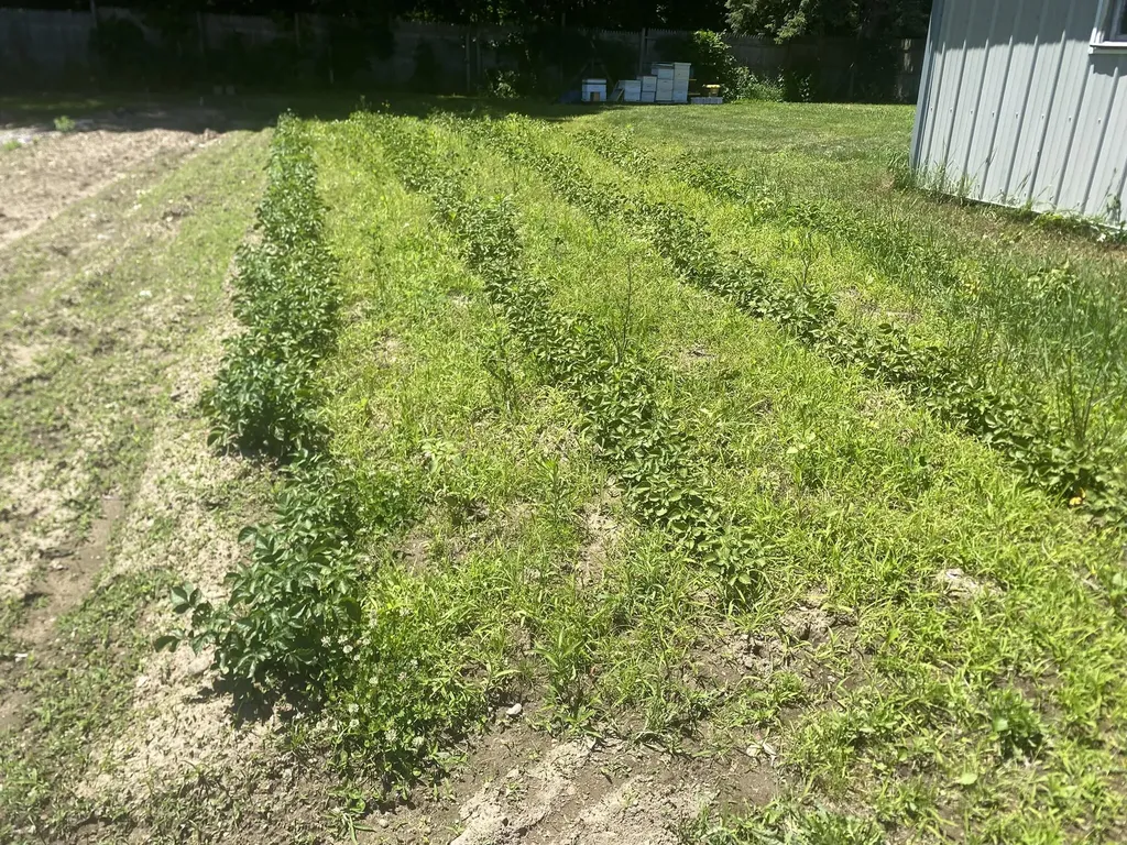 12915 Cassidy Road Assyria Township MI 49021