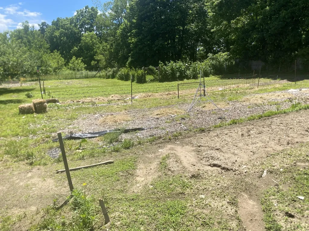 12915 Cassidy Road Assyria Township MI 49021