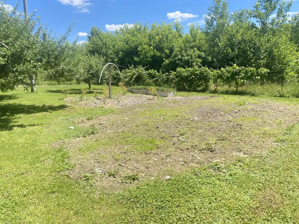 12915 Cassidy Road Assyria Township MI 49021