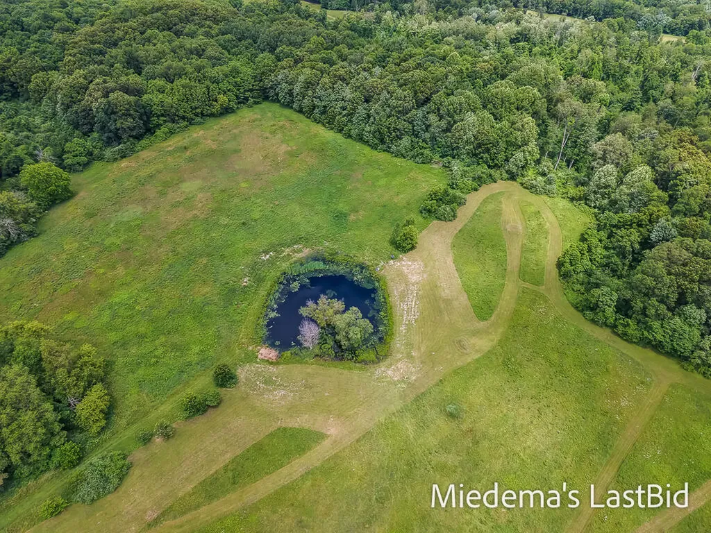 12915 Cassidy Road Assyria Township MI 49021