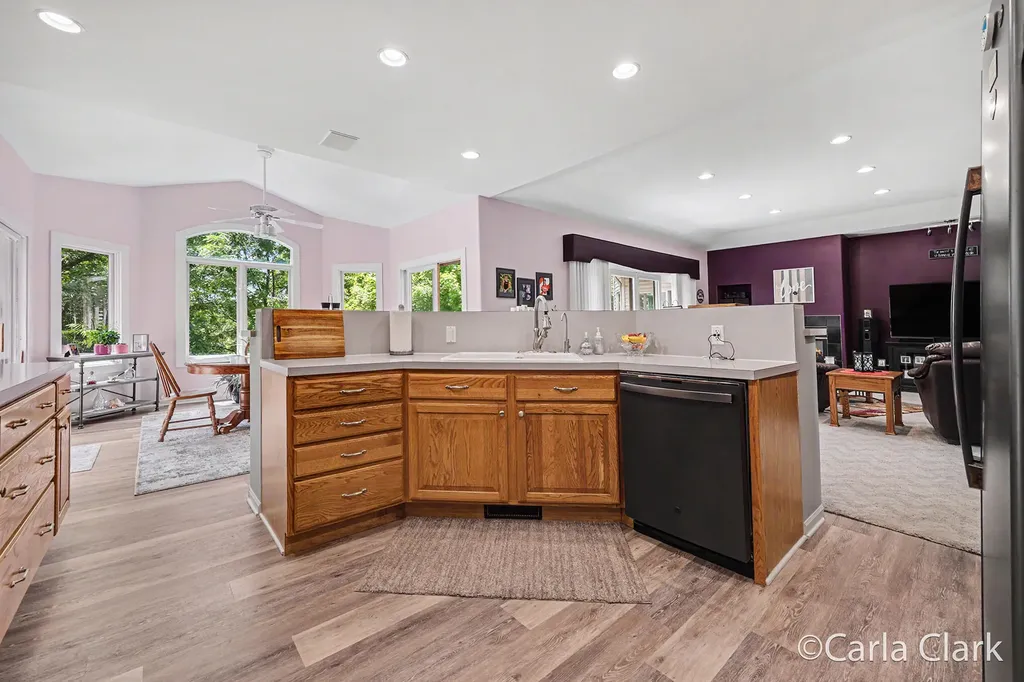9899 Twelve Point Drive NE Courtland Township MI 49341