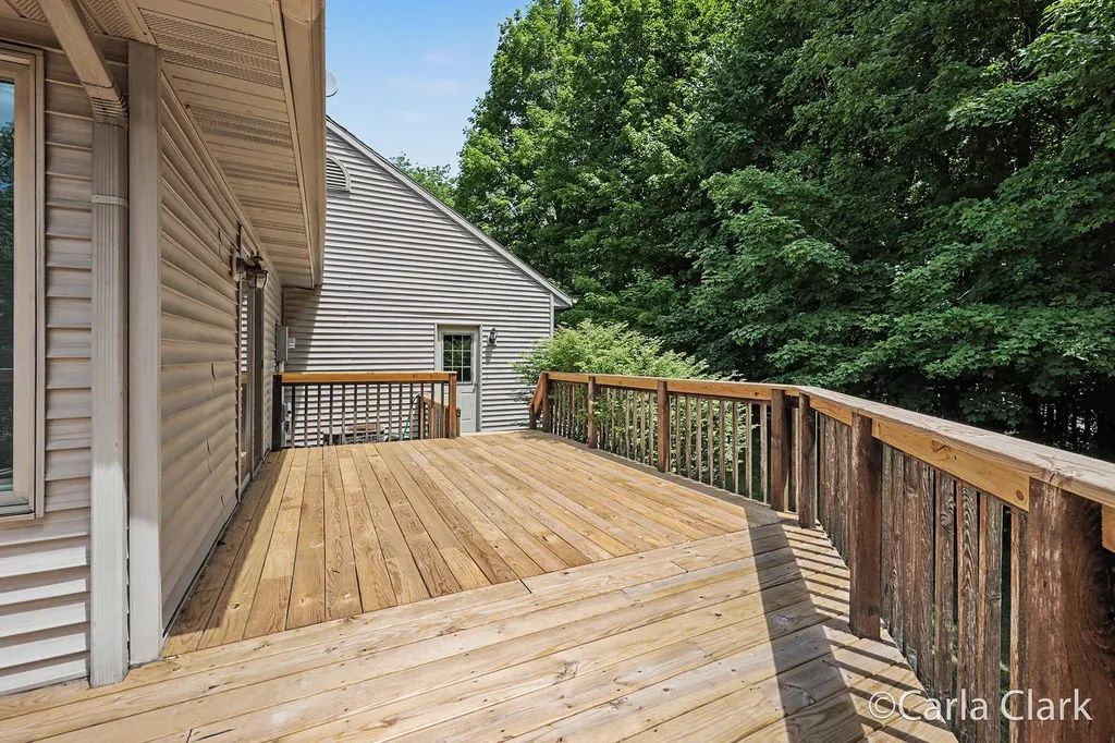 9899 Twelve Point Drive NE Courtland Township MI 49341