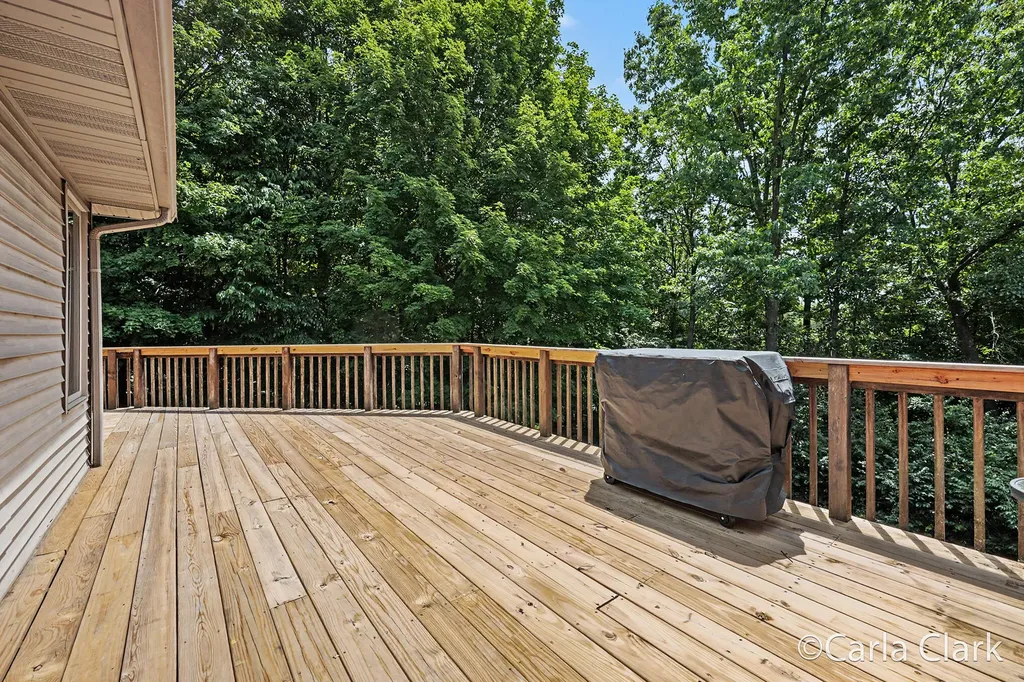 9899 Twelve Point Drive NE Courtland Township MI 49341
