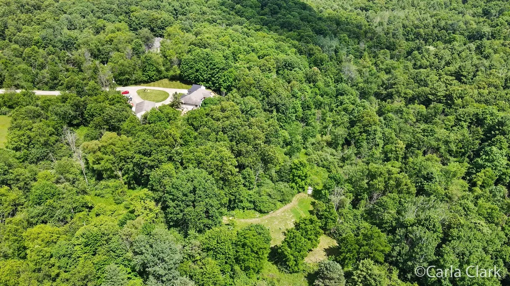 9899 Twelve Point Drive NE Courtland Township MI 49341