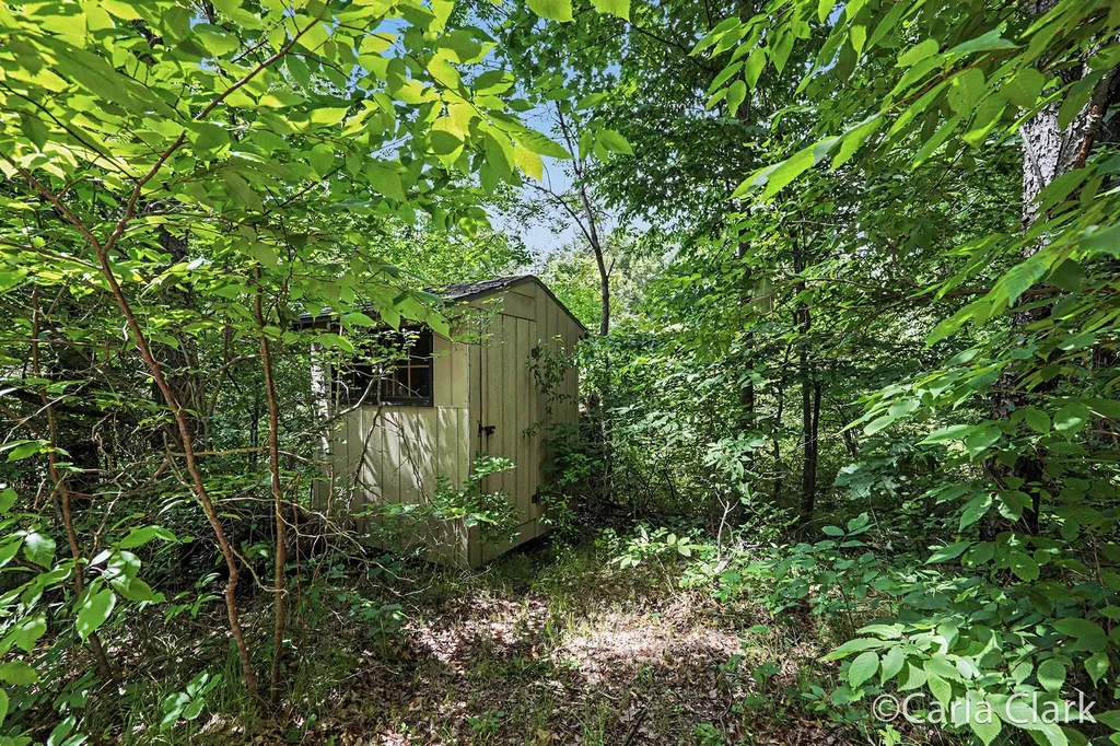 9899 Twelve Point Drive NE Courtland Township MI 49341