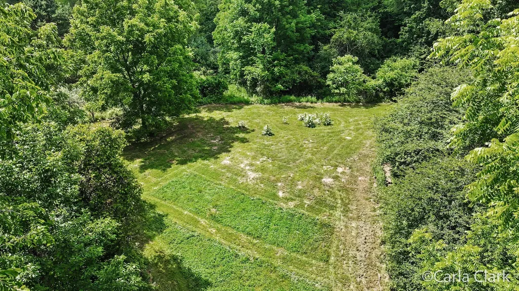 9899 Twelve Point Drive NE Courtland Township MI 49341