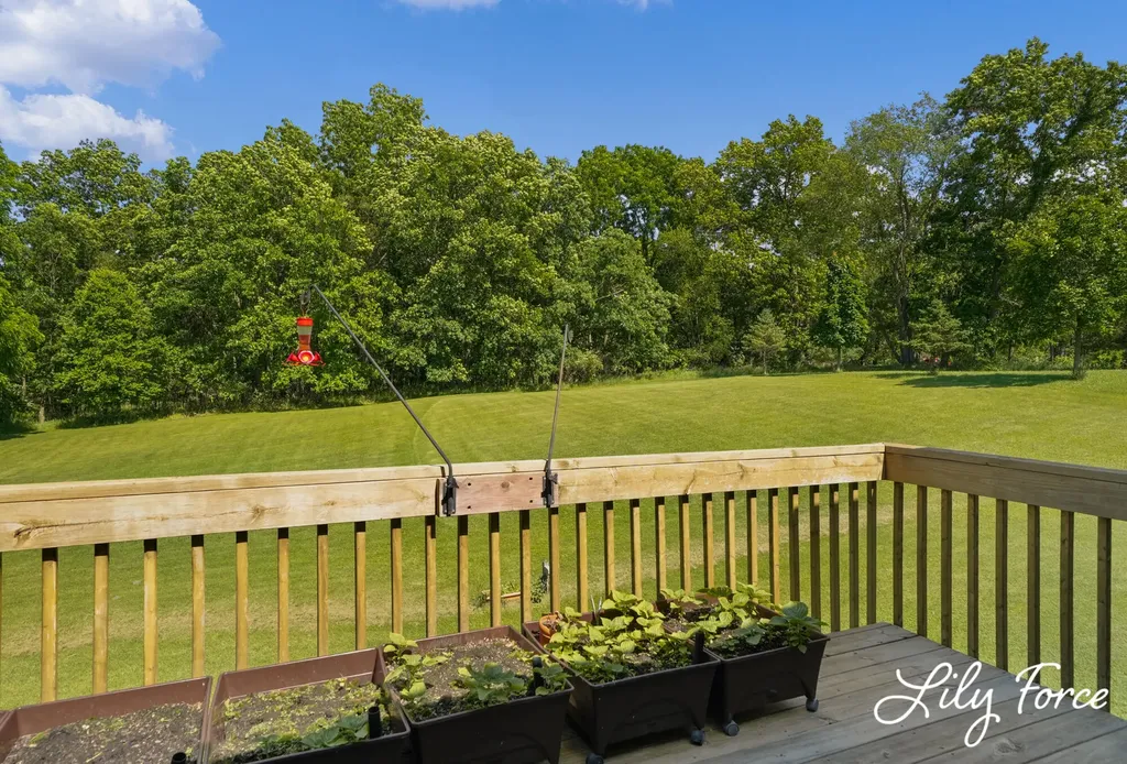 3811 Ethel Drive Irving Township MI 49333