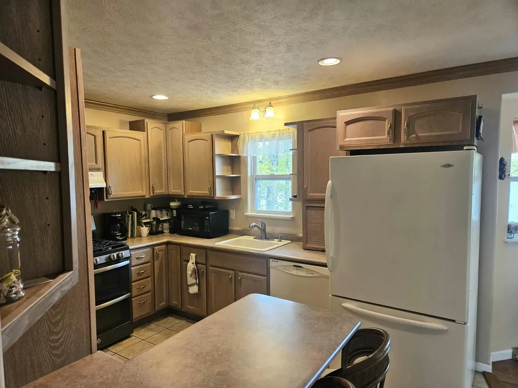 8862 W Rainbow Lake Drive Lake Township MI 49304