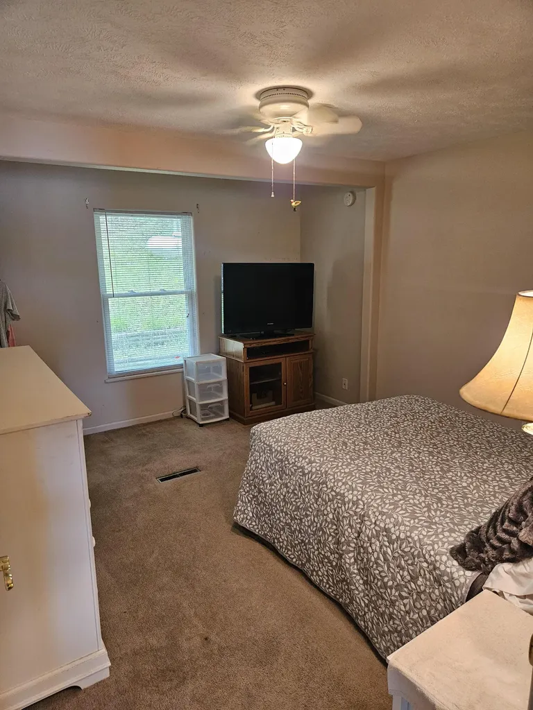 8862 W Rainbow Lake Drive Lake Township MI 49304