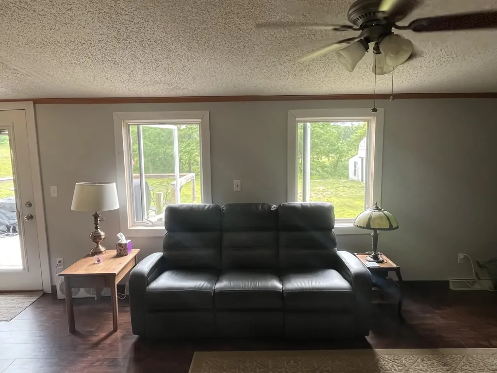 1172 N Greenville Road Pine Township MI 48888