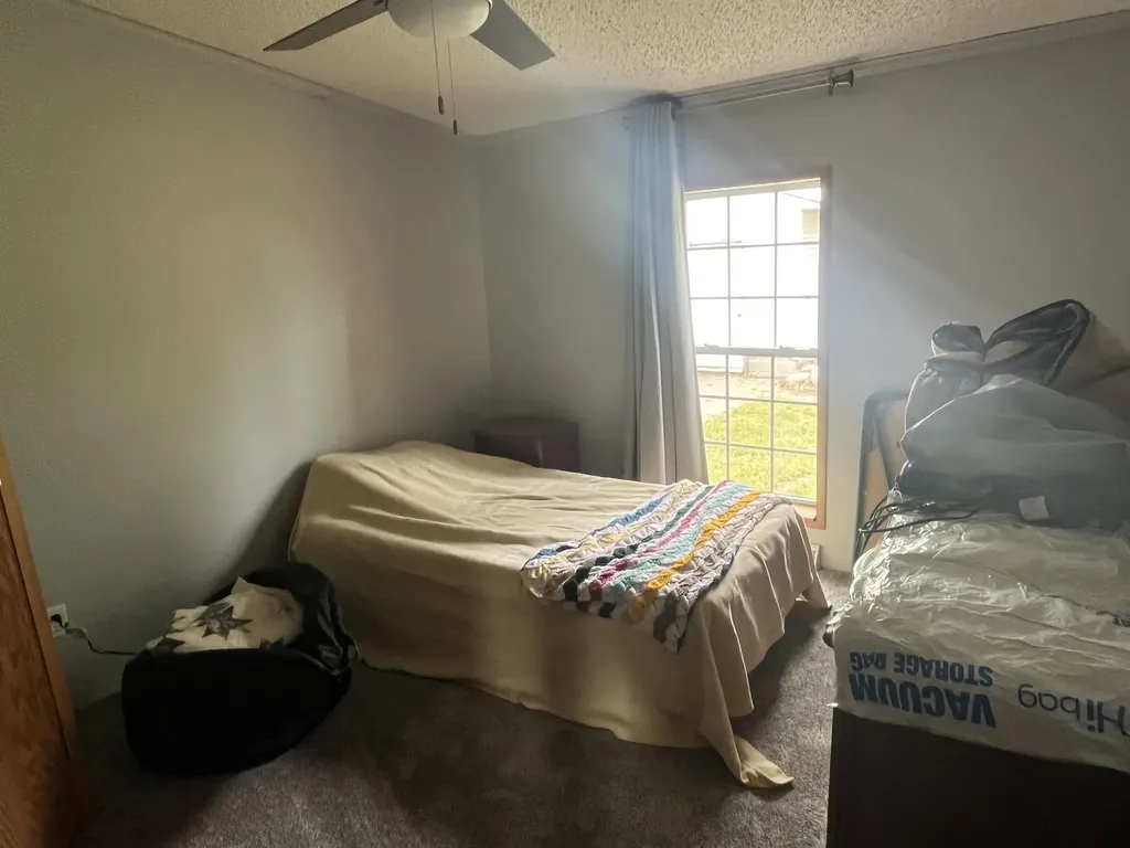 1172 N Greenville Road Pine Township MI 48888