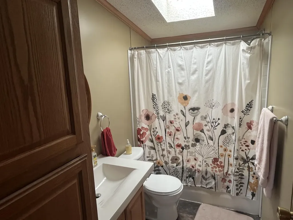 1172 N Greenville Road Pine Township MI 48888