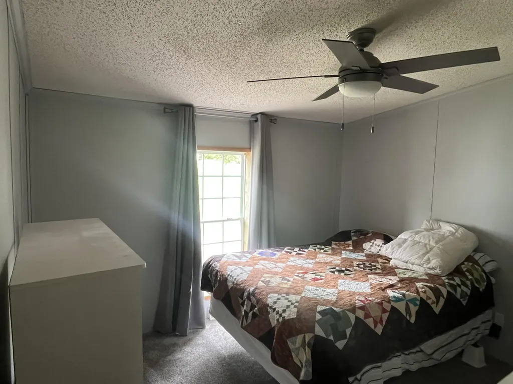 1172 N Greenville Road Pine Township MI 48888