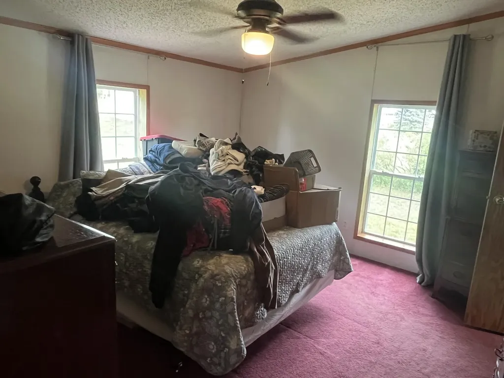 1172 N Greenville Road Pine Township MI 48888