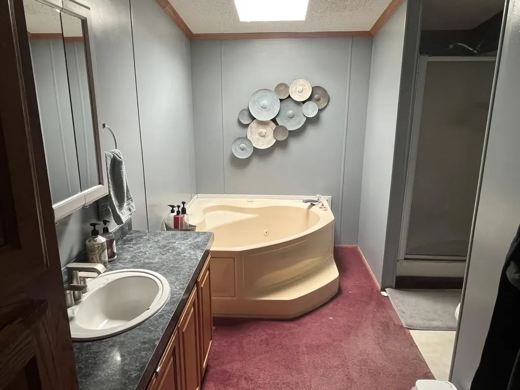 1172 N Greenville Road Pine Township MI 48888