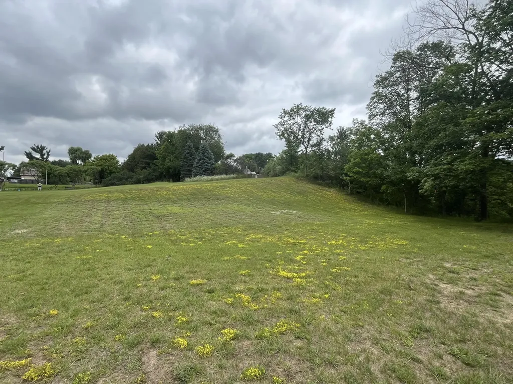1172 N Greenville Road Pine Township MI 48888