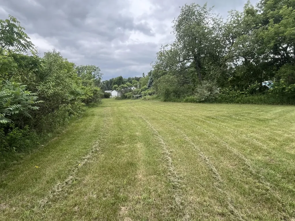 1172 N Greenville Road Pine Township MI 48888