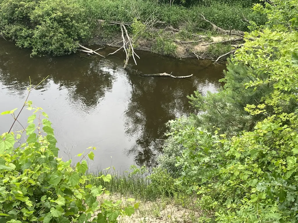 1172 N Greenville Road Pine Township MI 48888