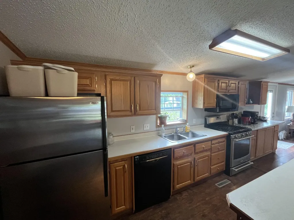 1172 N Greenville Road Pine Township MI 48888