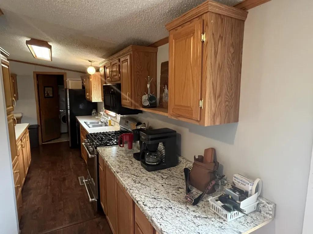 1172 N Greenville Road Pine Township MI 48888