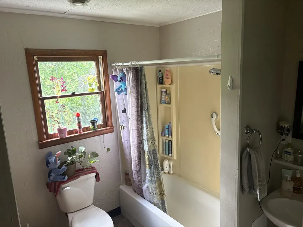 14110 Hicks Lake Drive Hartwick Township MI 49631