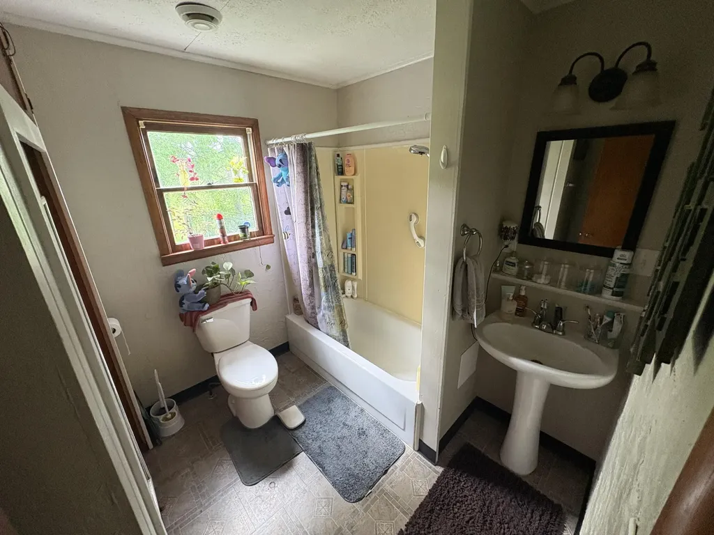 14110 Hicks Lake Drive Hartwick Township MI 49631