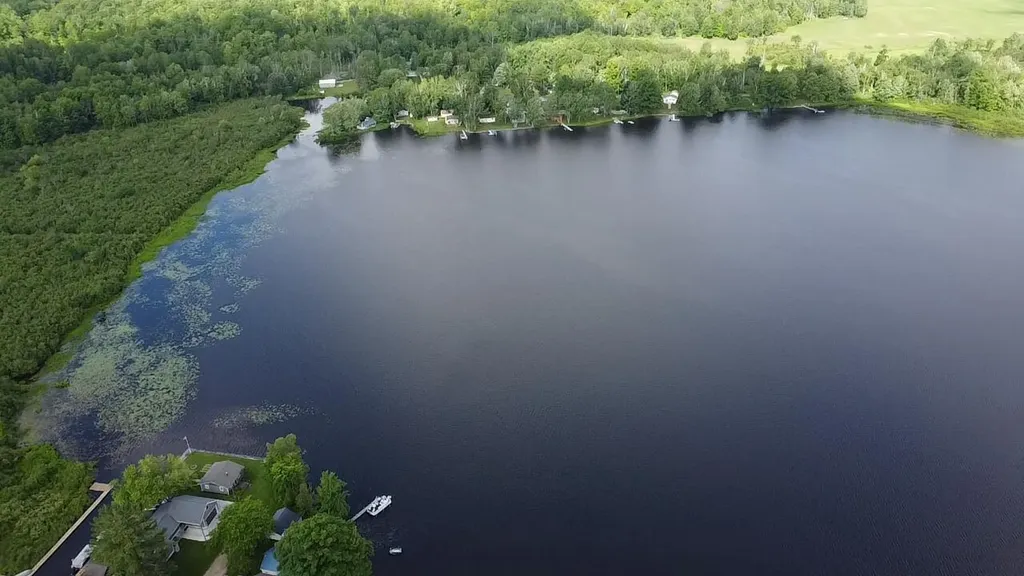 14110 Hicks Lake Drive Hartwick Township MI 49631