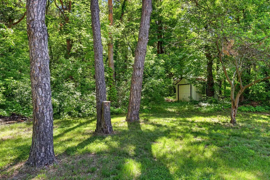 11680 Podunk Avenue Oakfield Township MI 48838