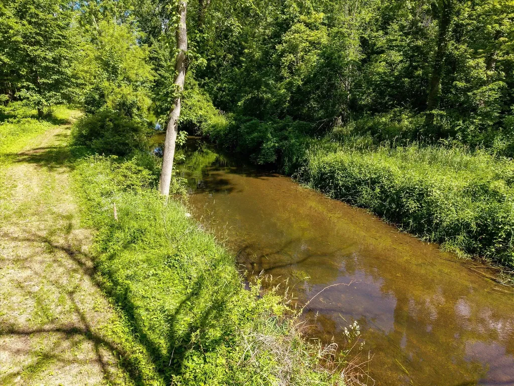 4045 Farrel Road Carlton Township MI 49058
