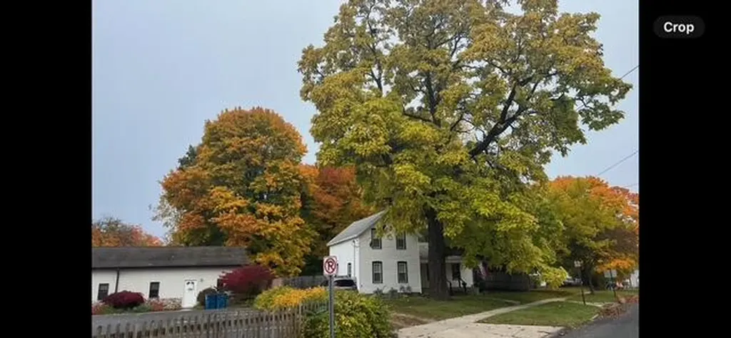Belding City MI 48809